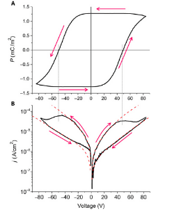 Ferroelectric Materials: What Are They?