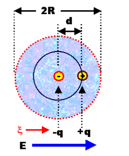 Electronic Polarization